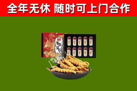 青龙回收冬虫夏草价格