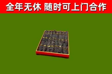 青龙回收海参